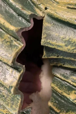 TRICK OR TREAT STUDIOS Ghoulies II: Fish Ghoulie Movie Prop -Kreepsville Sales Goth Puppet