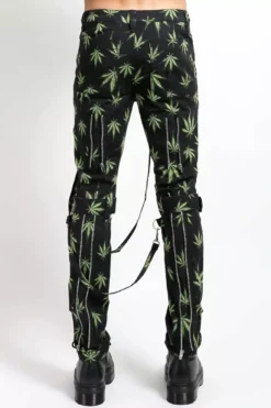 Tripp NYC Bondage Pants [Grass] -Kreepsville Sales IS267MP GRASS B GUY 1000x b9832296 5f37 4938 b449 40f60326d674